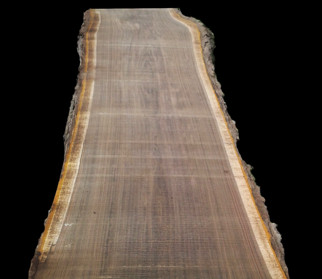 live_edge_wood_example_2